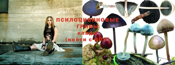 PSILOCYBIN Лагань