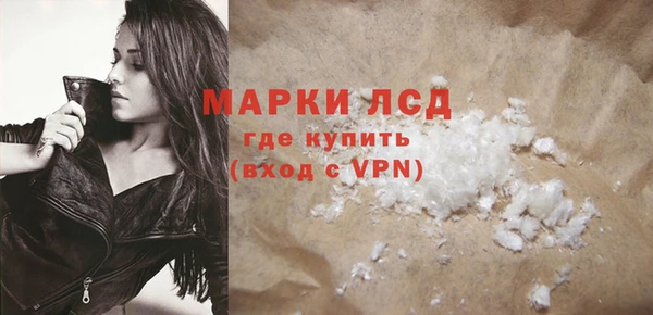 PSILOCYBIN Лагань