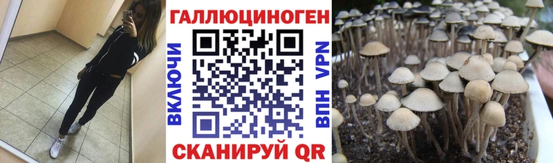 Псилоцибиновые грибы Cubensis  Химки 